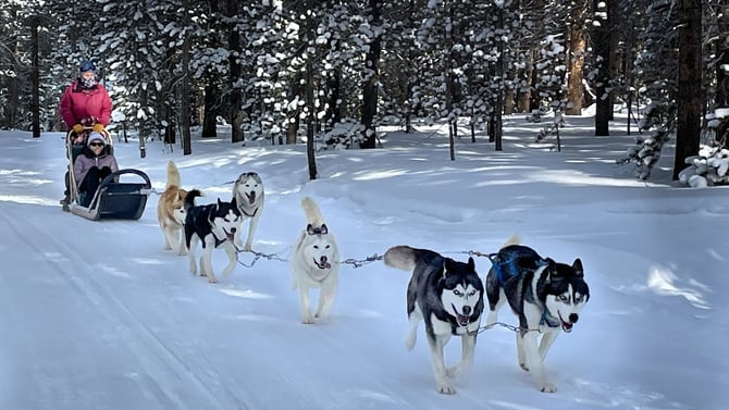 Winter Activities in Breckenridge