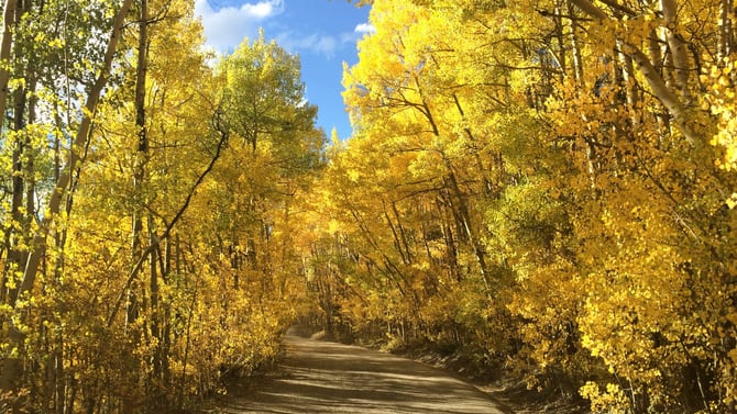 Boreas Pass: A Must-See in Breckenridge